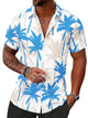 Runcati Mens Sky Blue Button Down Shirts
